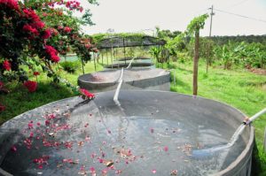 Foto: Lúcio Bernardo/Agência Brasília