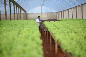 Foto: André Borges/Agência Brasília