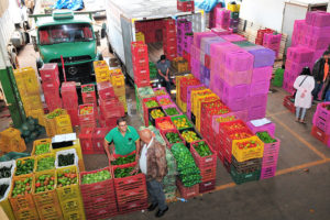 Foto: Acácio Pinheiro/Agência Brasília