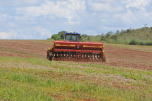 Foto: Renato Alves/Agência Brasília