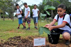 Foto: Tony Winston/Agência Brasília