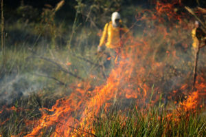 Foto: Pedro Ventura/Agência Brasília