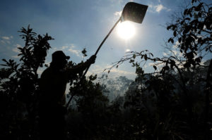 Foto: Pedro Ventura/Agência Brasília