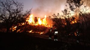 Foto: Brasília Ambiental/Divulgação