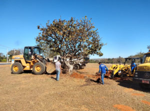 Foto: Administração do Park Way