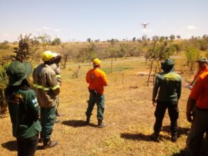 Foto: Brasília Ambiental/Divulgação