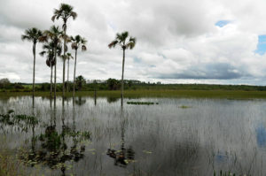 Foto: Pedro Ventura/Agência Brasília