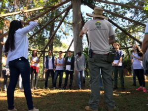 Foto: Jardim Botânico de Brasília/Divulgação