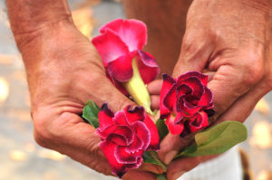 Foto: Tony Winston/Agência Brasília