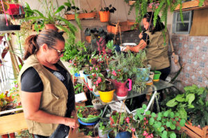 Foto: Acácio Pinheiro/Agência Brasília