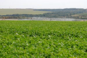 Foto: Arquivo/Agência Brasília