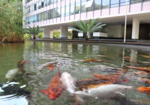 Foto: Divulgação/Setur-DF