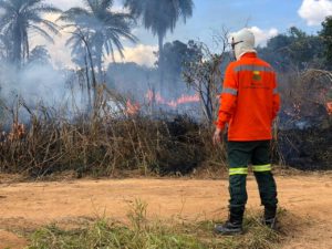 Foto: Brasília Ambiental/Divulgação