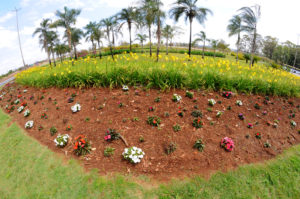 Foto: Paulo H Carvalho / Agência Brasília