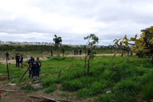 Foto: Divulgação/Brasília Ambiental