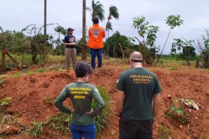 Foto: Divulgação/Brasília Ambiental