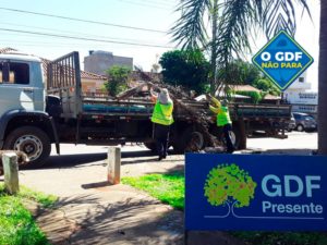 Foto: Divulgação/GDF Presente