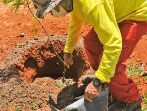 Foto: Acácio Pinheiro / Agência Brasília