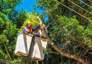 Foto: Lúcio Bernardo Jr./Agência Brasília