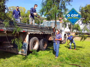 Foto: Divulgação/GDF Presente