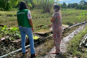 Foto: Divulgação/Emater-DF