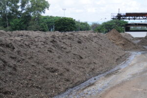 Foto: Paulo H Carvalho / Agência Brasília