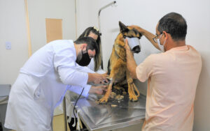 Foto: Acácio Pinheiro/Agência Brasília