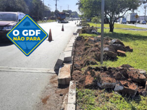 Foto: Divulgação/GDF Presente