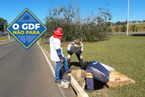 Foto: Divulgação/GDF Presente