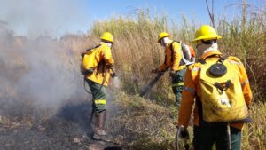 Foto: Divulgação/Brasília Ambiental