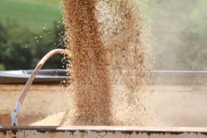 Para ser atendido pelo fundo é preciso ser produtor rural atendido pela Emater, que prepara os projetos avaliados por uma comissão técnica da Secretaria de Agricultura, Abastecimento e Desenvolvimento Rural (Seagri) | Foto: Tony Oliveira/Agência Brasília