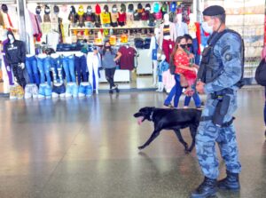 Foto: Joel Rodrigues/Agência Brasília