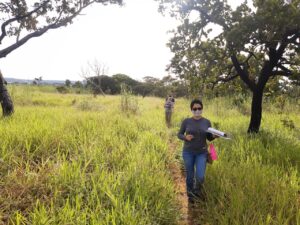 Foto: Divulgação/Brasília Ambiental