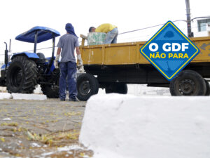 Na semana passada, as equipes do GDF Presente e da Administração do Guará recolheram móveis inutilizados e inservíveis em três pontos da quadra QE 42 | Foto: GDF Presente