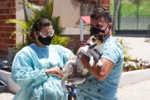 Com a campanha anual de vacinação contra a doença mantém-se, no curto prazo, uma parcela significativa da população imune ao vírus| Foto: Breno Esaki/Agência Saúde