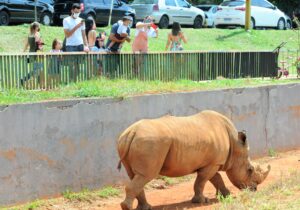 Crianças e adultos estiveram no Zoo de Brasília durante todo o dia, participando de brincadeiras e atividades educativas preparadas especialmente para o Dia das Crianças | Foto: Paulo H. Carvalho/Agência Brasília