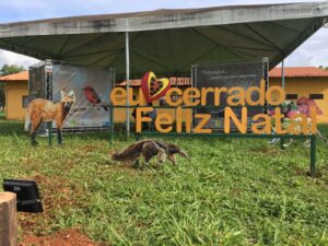 Além de várias exposições, o evento ambiental conta com plantio de sementes, distribuição de mudas e contação de histórias, entre outras atividades | Foto: Brasília Ambiental