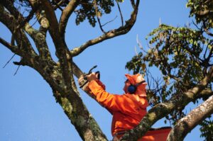 Caso os serviços sejam concluídos antes do previsto, a rede será energizada sem aviso prévio, reduzindo o tempo em que os consumidores permanecerão sem energia| Foto: Lúcio Bernardo Jr./Agência Brasília