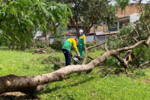 O Parque Ecológico Riacho Fundo abrange uma área de 480 hectares e recebe uma média mensal de 6.400 visitantes, possuindo estrutura de educação ambiental com sala de aula, galpão coberto e trilha ecológica| Foto: Divulgação/Brasília Ambiental