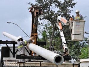 Diversos endereços de Sobradinho ficarão sem energia, nesta segunda-feira (7), para que sejam feitas podas de árvores | Foto: Agência Brasília