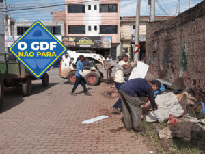 Na última semana houve uma intensificação dos trabalhos de limpeza para tentar diminuir a proliferação do mosquito da dengue, Aedes aegypti | Foto: GDF Presente