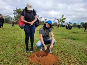 A ação faz parte do Projeto CITinova de desenvolvimento urbano sustentável e tecnologias inovadoras, executado pela Secretaria do Meio Ambiente do DF | Foto: Brasília Ambiental