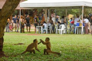 A queda na cobertura vacinal fez com que a Secretaria de Saúde decidisse levar a vacinação às pessoas e não apenas esperar que elas se dirigissem  aos postos de saúde, além de ampliar o horário de vacinação | Foto: Tony Winston/Secretaria de Saúde